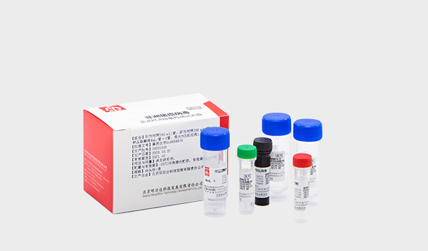 非洲豬瘟病毒熒光PCR核酸檢測(cè)試劑盒
