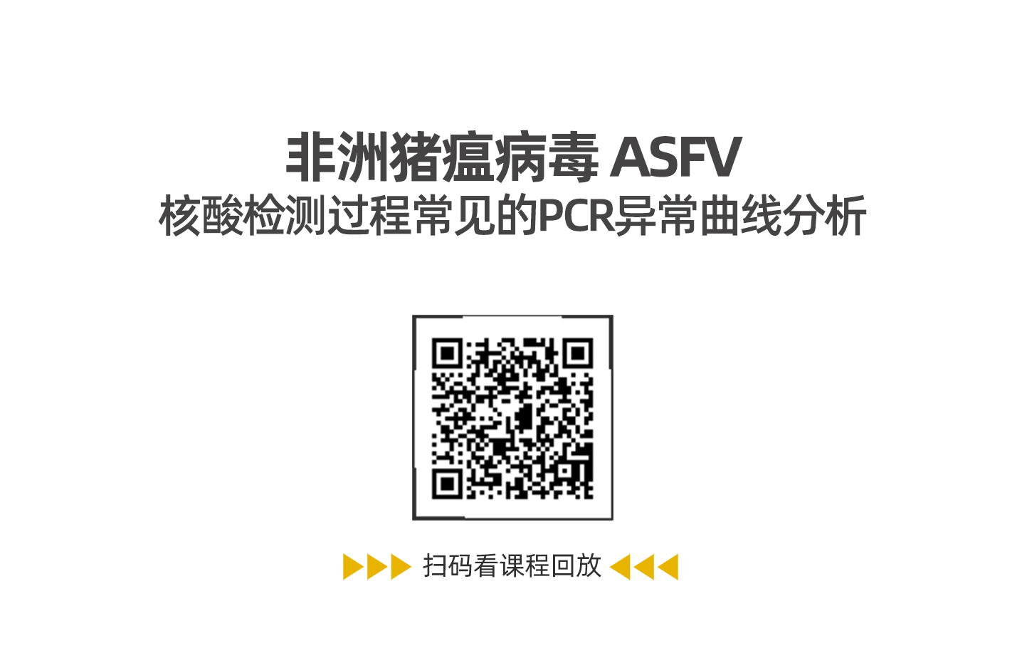628740408d77b.jpg